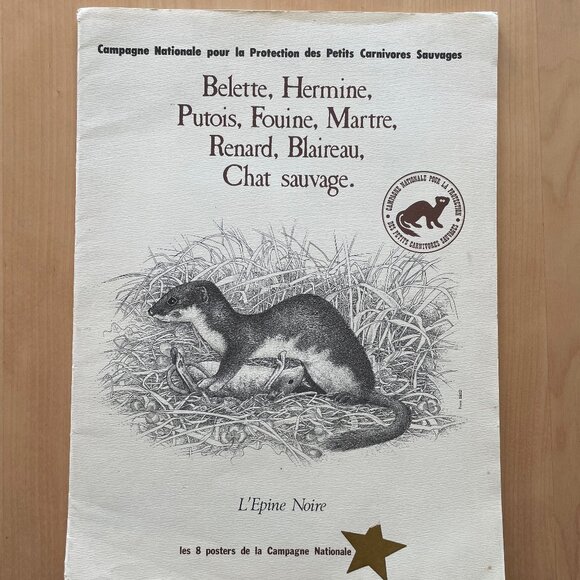 Vintage Illustrations of Small Wild Carnivores Found in France - Picture 2 of 9